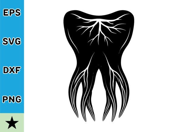 Explore the Molar Tooth with Roots Rendered in 3d SVG Vector